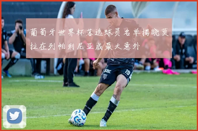 葡萄牙世界杯落选球员名单揭晓莫拉在列帕利尼亚成最大意外