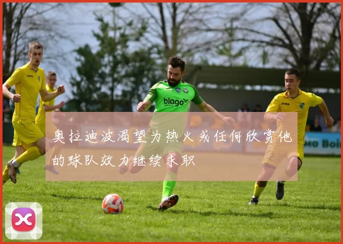 奥拉迪波渴望为热火或任何欣赏他的球队效力继续求职